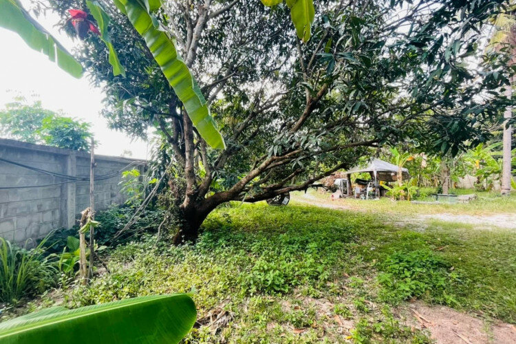 Дом в Банг Ламунге, Таиланд | THE139152