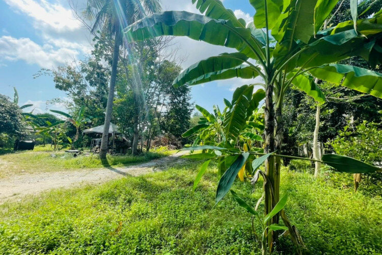 Дом в Банг Ламунге, Таиланд | THE139152