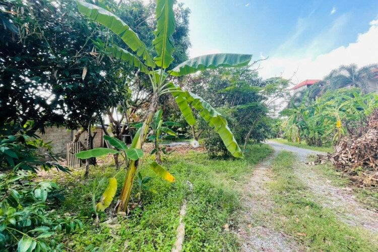 Дом в Банг Ламунге, Таиланд | THE139152