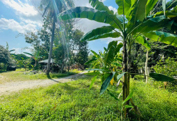 Дом в Банг Ламунге, Таиланд | THE139152