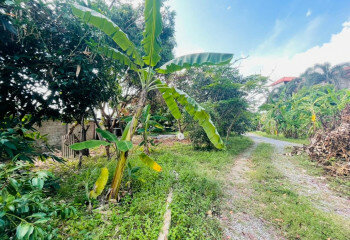 Дом в Банг Ламунге, Таиланд | THE139152