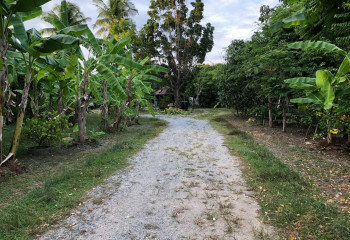 Дом в Банг Ламунге, Таиланд | THE139152