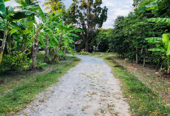 Дом в Банг Ламунге, Таиланд | THE139152