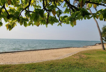 Кондоминиум в Банг Ламунге, Таиланд | THE456489