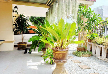 Дом в Паттайе, Таиланд | THE427573