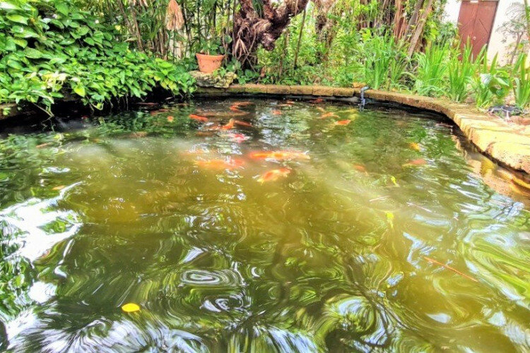 Дом в Банг Ламунге, Таиланд | THE540267