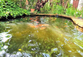 Дом в Банг Ламунге, Таиланд | THE540267