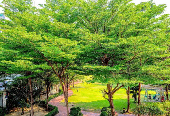 Кондоминиум в Бангкоке, Таиланд | THE233234