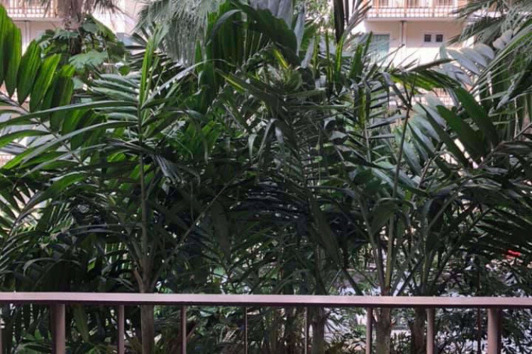 Кондоминиум в Бангкоке, Таиланд | THE449287