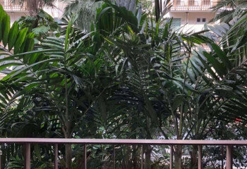 Кондоминиум в Бангкоке, Таиланд | THE449287