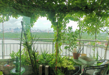 Кондоминиум в Бангкоке, Таиланд | THE449333