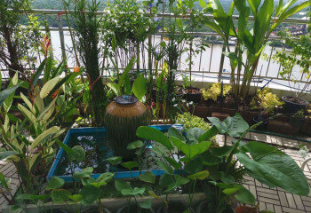 Кондоминиум в Бангкоке, Таиланд | THE449333