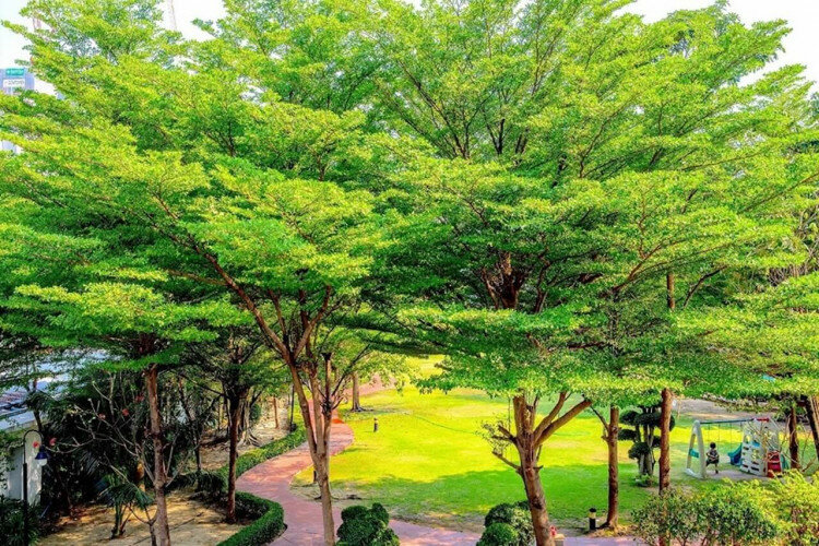 Кондоминиум в Бангкоке, Таиланд | THE532655