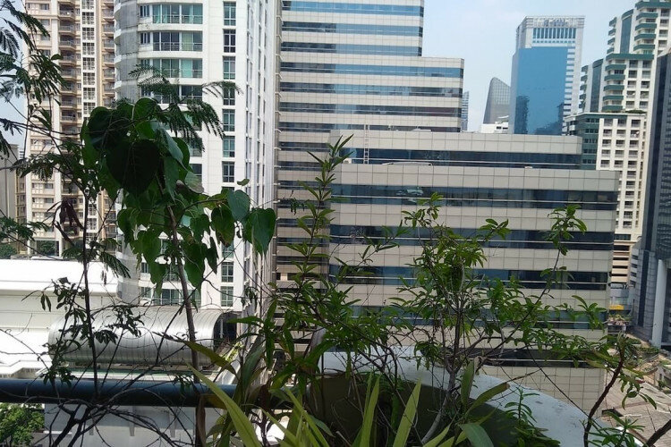 Кондоминиум в Бангкоке, Таиланд | THE231224