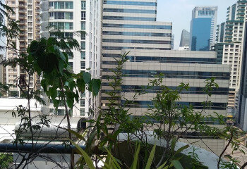 Кондоминиум в Бангкоке, Таиланд | THE231224