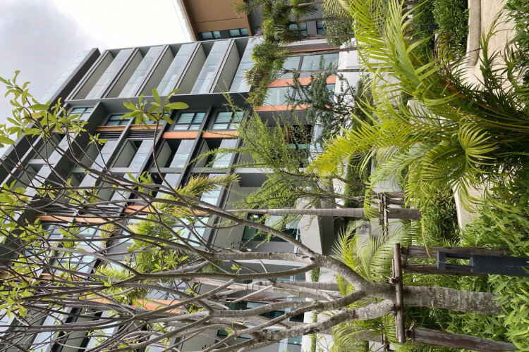 Кондоминиум в Сурине, Таиланд | THE104482