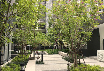 Кондоминиум в Бангкоке, Таиланд | THE530821