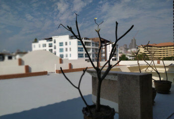 Кондоминиум в Паттайе, Таиланд | THE310434