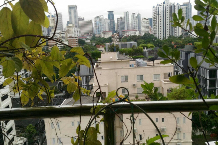 Кондоминиум в Бангкоке, Таиланд | THE514613