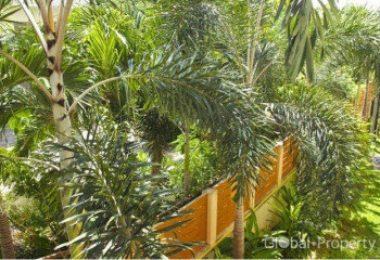 Кондоминиум в Паттайе, Таиланд | THE544376