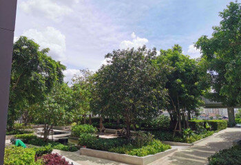 Кондоминиум в Бангкоке, Таиланд | THE149299