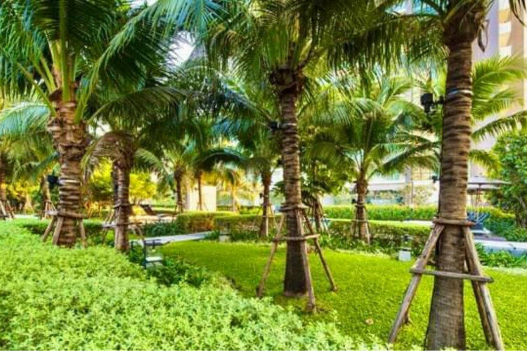 Кондоминиум в Бангкоке, Таиланд | THE542357