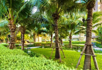 Кондоминиум в Бангкоке, Таиланд | THE542357