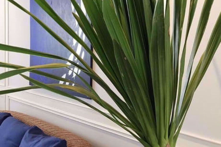 Кондоминиум в Бангкоке, Таиланд | THE549487