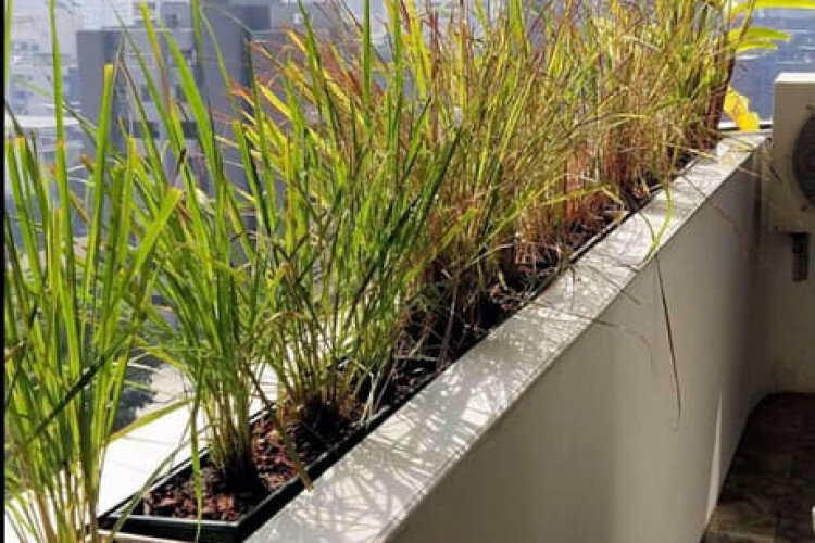 Кондоминиум в Бангкоке, Таиланд | THE549487