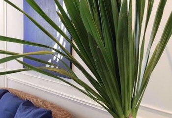 Кондоминиум в Бангкоке, Таиланд | THE549487