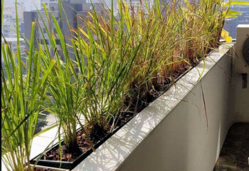 Кондоминиум в Бангкоке, Таиланд | THE549487