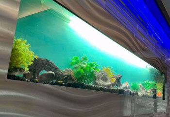 Кондоминиум в Бангкоке, Таиланд | THE548716