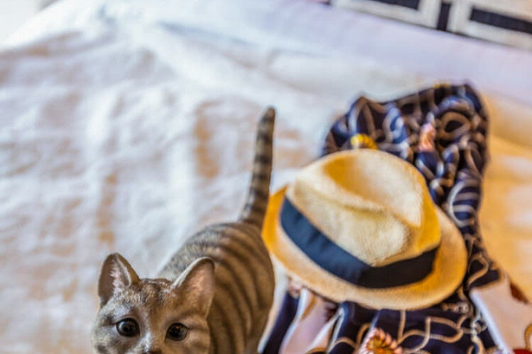 Кондоминиум в Паттайе, Таиланд | THE540849