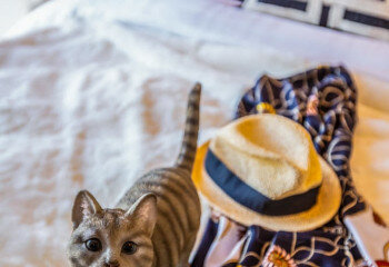 Кондоминиум в Паттайе, Таиланд | THE540849