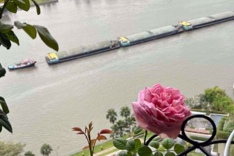 Кондоминиум в Бангкоке, Таиланд | THE255878