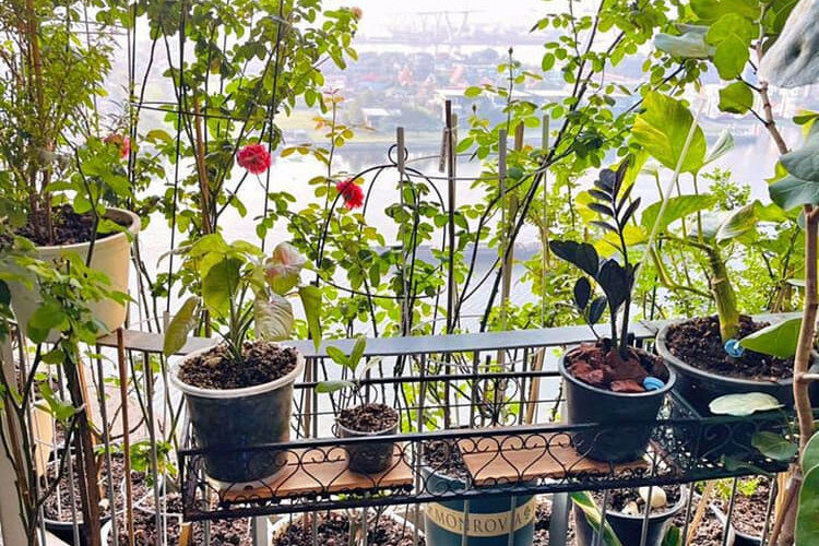 Кондоминиум в Бангкоке, Таиланд | THE255878