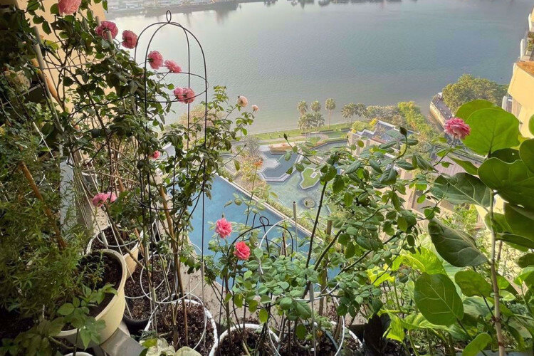 Кондоминиум в Бангкоке, Таиланд | THE255878