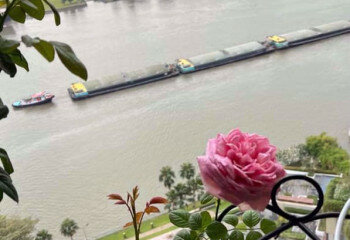 Кондоминиум в Бангкоке, Таиланд | THE255878