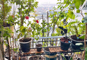 Кондоминиум в Бангкоке, Таиланд | THE255878