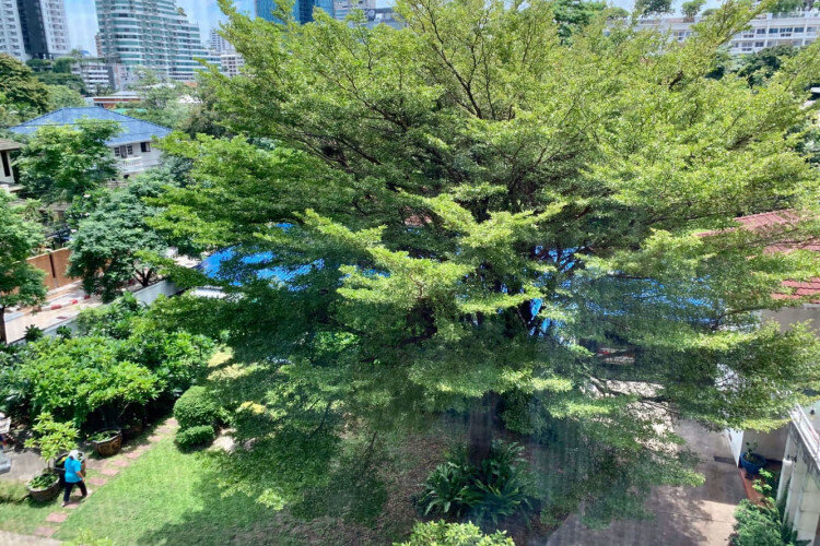 Кондоминиум в Бангкоке, Таиланд | THE251840