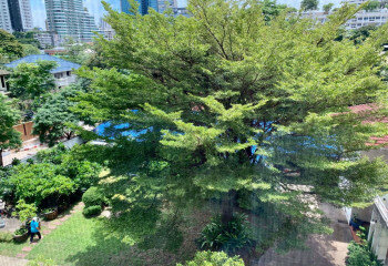 Кондоминиум в Бангкоке, Таиланд | THE251840