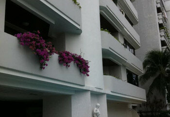 Кондоминиум в Бангкоке, Таиланд | THE512441