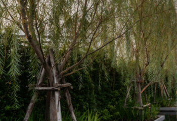 Кондоминиум в Бангкоке, Таиланд | THE346176