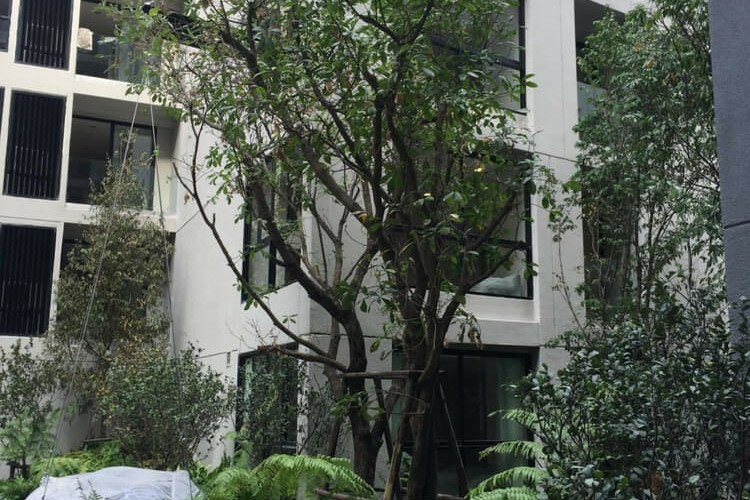 Кондоминиум в Бангкоке, Таиланд | THE214931