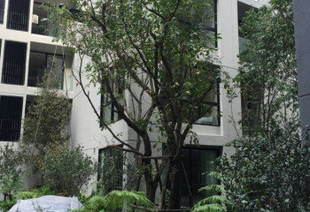 Кондоминиум в Бангкоке, Таиланд | THE214931