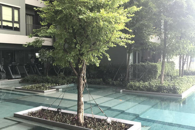 Кондоминиум в Бангкоке, Таиланд | THE515417