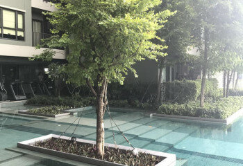 Кондоминиум в Бангкоке, Таиланд | THE515417