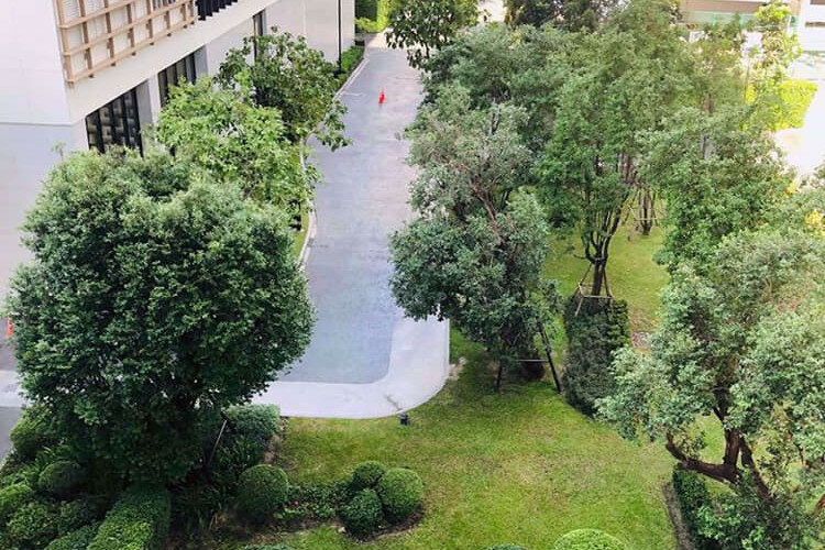 Кондоминиум в Бангкоке, Таиланд | THE553892