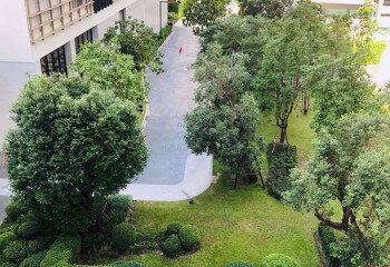 Кондоминиум в Бангкоке, Таиланд | THE553892