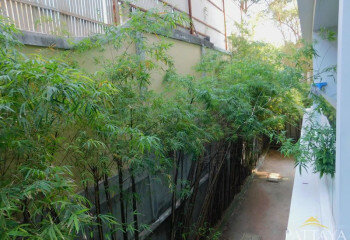 Кондоминиум в Паттайе, Таиланд | THE322561